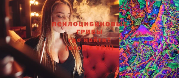 винт Белокуриха