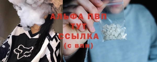 ешки Богданович