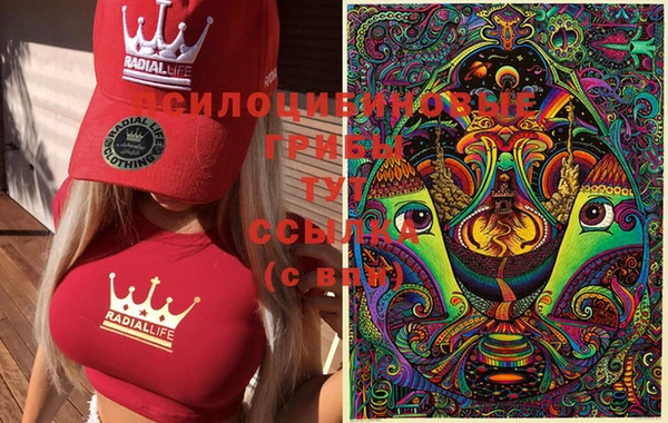 винт Белокуриха