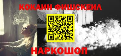 крисы Гатчина