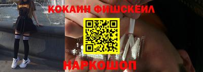 крисы Гатчина