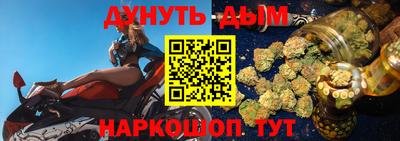 крисы Гатчина
