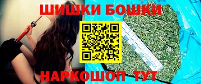 крисы Гатчина