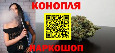 мяу мяу мука Гай