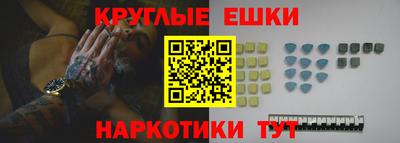 крисы Гатчина