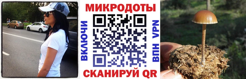 Псилоцибиновые грибы GOLDEN TEACHER  Ногинск 
